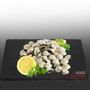 AMEIJOA VIETNAM 800gr (PALOURDE VIETNAME) / PCE