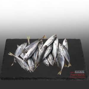 CARAPAU PELIM 900gr (PETIT CHINCHARD) / PCE