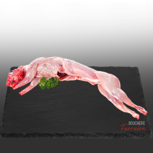 LAPIN / KG
