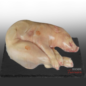 PORCELET CRU / PCE