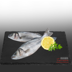 ROBALO HIG. (BAR ENTIER) / KG