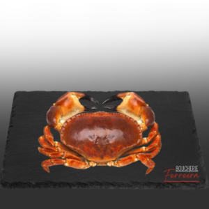 SAPATEIRA (CRABE) / PCE