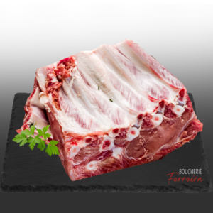 PETITE CÔTE PORC / KG