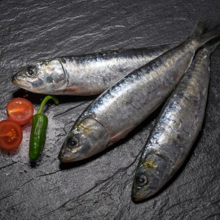 SARDINHA GORDA (SARDINE) 800gr / PCE