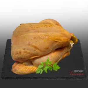 POULET JAUNE