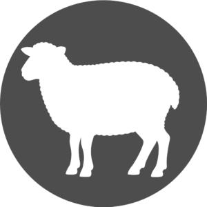 Agneau / Chèvre / Chevreau